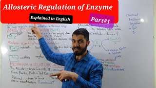 Allosteric Regulation and Mechanism  Enzyme Regulation Biochemistry Enzymology [upl. by Joelle]