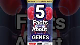 5 Facts about Genes  What are Genes  Functions of Genes genereviewsfactsbiologyfactsaboutgenes [upl. by Irrok]