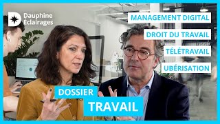 DOSSIER  Le TRAVAIL à lépreuve des quotnouvellesquot organisations  Dauphine Éclairages [upl. by Pedaias151]