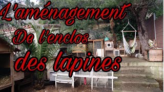 l’environnement des lapins [upl. by Shirk]