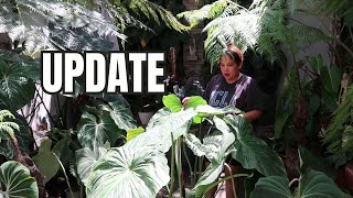 PLANT SHIPPING UPDATE [upl. by Jovitah]