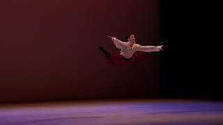 Ciro Tamayo Gopak Variation Seoul World Ballet Gala 2018 [upl. by Ainegul]