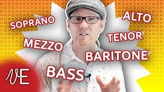 What is your Voice Classification  Soprano Alto Tenor Bass  DrDan 🎤 [upl. by Raimundo]