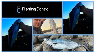 Fishing Jervis Bay off the rocks bonito kingfish [upl. by Aisek386]