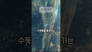 시골에서 200만원씩 수돗물 훔쳐쓰는 사람의 충격적인 정체 [upl. by Reider]