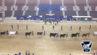 Youth Supreme Champion Beef Pageant [upl. by Enelrac]