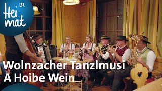 Wolnzacher Tanzlmusi  A Hoibe Wein  Zsammgspuit in der Holledau  BR Heimat [upl. by Heyward]