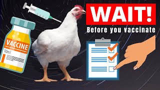 3 Things to Know About How to Vaccinate Chickens  WATCH THIS BEFORE YOU VACCINATE [upl. by Church]