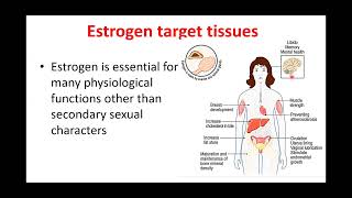 Basics of Breast cancer HORMONAL therapy By Dr Loay Kassem [upl. by Aihsekram]