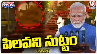 Mysterious Creature Gatecrashes Modi Oath Taking Ceremony At Rashtrapati Bhavan  V6 Teenmaar [upl. by Trygve]