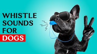 Whistle sounds for Dogs  Dog Whistle Sound to Call Your Dog [upl. by Shum478]