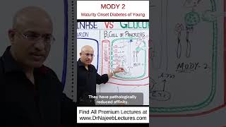 MODY 2  Maturity Onset Diabetes of Young drnajeeb drnajeeblectures shortvideo youtubeshorts [upl. by Eelatan]