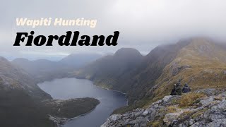 Wapiti Hunting Fiordland NZ [upl. by Amle680]