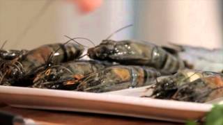 Grosse Crevettes au four sauce américaine AUCHAN avec Thomas Clouet [upl. by Purcell]