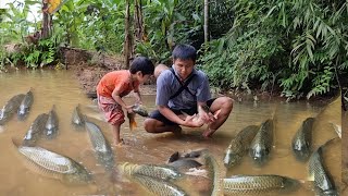 Single father and children meet giant school of fish catch fish  cook with children [upl. by Lavro]