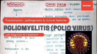 Poliomyelitis  Polio virus  Life cycle   picorna virus  Microbiology [upl. by Arerrac]