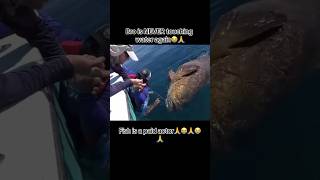 HILARIOUS FISHING FAILS 😂 [upl. by Guevara]