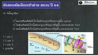 เฉลยข้อสอบเข้าค่าย สอวน ปี 64 ข้อ 46  ปริมาณไอออน [upl. by Knuth]