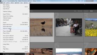 Learning The Export as Catalog Function in Lightroom 3 [upl. by Trebreh779]