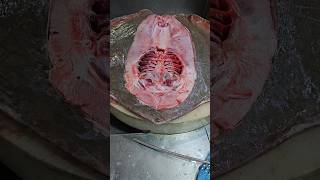 Stingray Fish Fastest Cutting Skillsshorts [upl. by Halil]