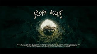 Plora aquí Trailer oficial [upl. by Khajeh]