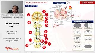 BASES EN NEUROLOGÍA PARTE 4  NEUROLOGÍA  VILLAMEDIC [upl. by Hartmann]