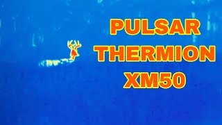 Pulsar Thermion XM50  Full Review [upl. by Secrest]