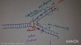 Cour 1Matériel génétique [upl. by Zil]