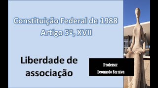 CF88  Artigo 5º Inciso XVII  Liberdade de associação [upl. by Annaeirb404]