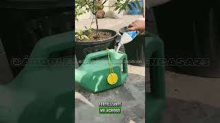 😱Aplica este fertilizante y tendrás Árboles de LIMONES todo el año y libre de químicos y pesticidas🍋 [upl. by Rabjohn425]