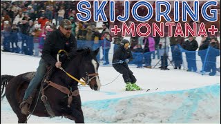 Skijoring Montana Thrills Chills and Spills [upl. by Alger]