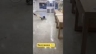 Terrazzo Floor terrazzo floorpolish stone interiorstone [upl. by Idleman]