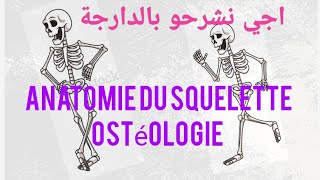 ostéologie humaine  squelette humain [upl. by Giulio]