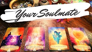 Pick a Card 💖 All About Your Soulmate  Fun Facts amp Personality ✨ [upl. by Ahsikym]