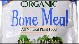 Benefits of BONE MEAL and How to Use It to INCREASE PHOSPHORUS  Organic Hawaii  Gardening Tips [upl. by Aisul334]