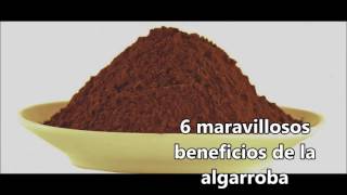 6 Maravillosos Beneficios de la Algarroba [upl. by Aurelia]