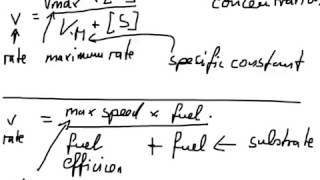 Understanding the Michaelis Menten equation [upl. by Ojibbob73]