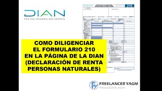 COMO DILIGENCIAR EL FORMULARIO 210 EN LA PÁGINA DE LA DIAN DECLARACIÓN DE RENTA PERSONAS NATURALES [upl. by Gallard]