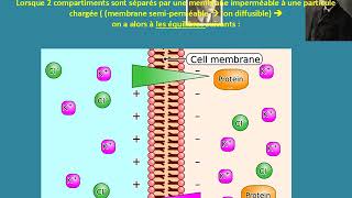 Biophysique A11  équilibre de Donnan [upl. by Korrie]