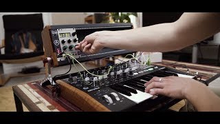 Arturia announces MiniBrute 2 EcoSystem MiniBrute 2 MiniBrute 2S RackBrute 3U6U [upl. by Zacherie]