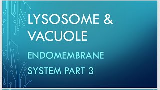 Lysosome And Vacuole Detail Explanation in easiest method Endomembrane system part 3 Biologygyaan [upl. by Palla23]