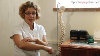 Tennis elbow treatment includes Golfers Elbow  Chiropractic adjustment [upl. by Nodyarg]