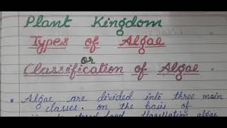 4 class 11th biology Plant Kingdom lecture4 classification of algae types of algae [upl. by Bonina]