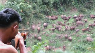 BERBURU 100 EKOR BABI HUTAN GUNUNG‼️deadly struggleduring the hunt for wild boars [upl. by Ajam]