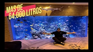 EL ACUARIO DE ESTA CASA ES EL MAS GRANDE DE AMERICA😱🐠🐠 [upl. by Wain]