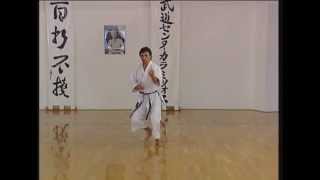 Kanku Sho  Efthimios Karamitsos  Karate  Kata  Shotokan [upl. by Iht]