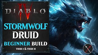 Diablo 4 Druid Build  Storm Werewolf Leveling Build Stormwolf [upl. by Hiett]