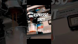 Espresso shot espresso laspaziale df64 intelligentsia [upl. by Annalee338]