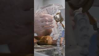 Creating a Waterford Crystal requires precise focus handmade artisans waterfordcrystal [upl. by Tareyn]