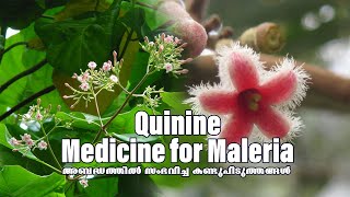 അബദ്ധത്തിൽ സംഭവിച്ച കണ്ടുപിടുത്തങ്ങൾ Episode1 Quinine  Medicine  Maleria  Inventions trending [upl. by Lisabet]